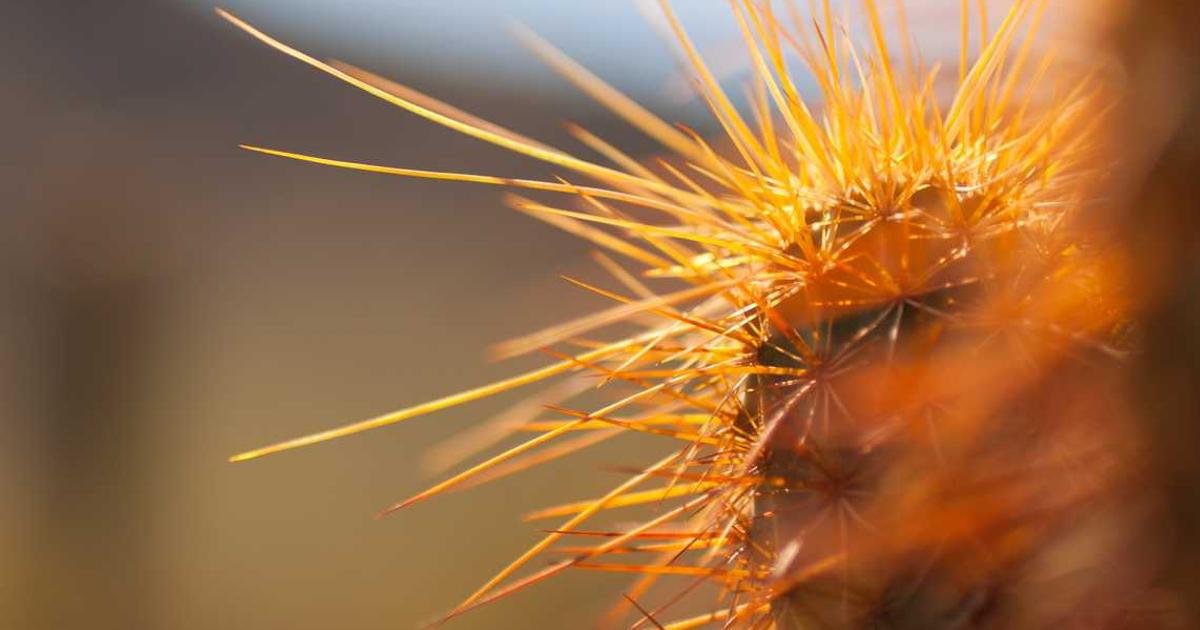 Reduce Class Sizes at High School