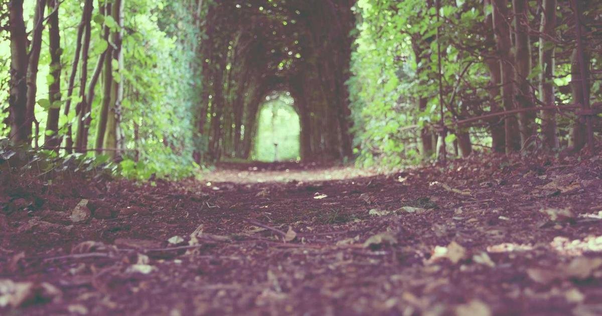 Reform redistricting in our district