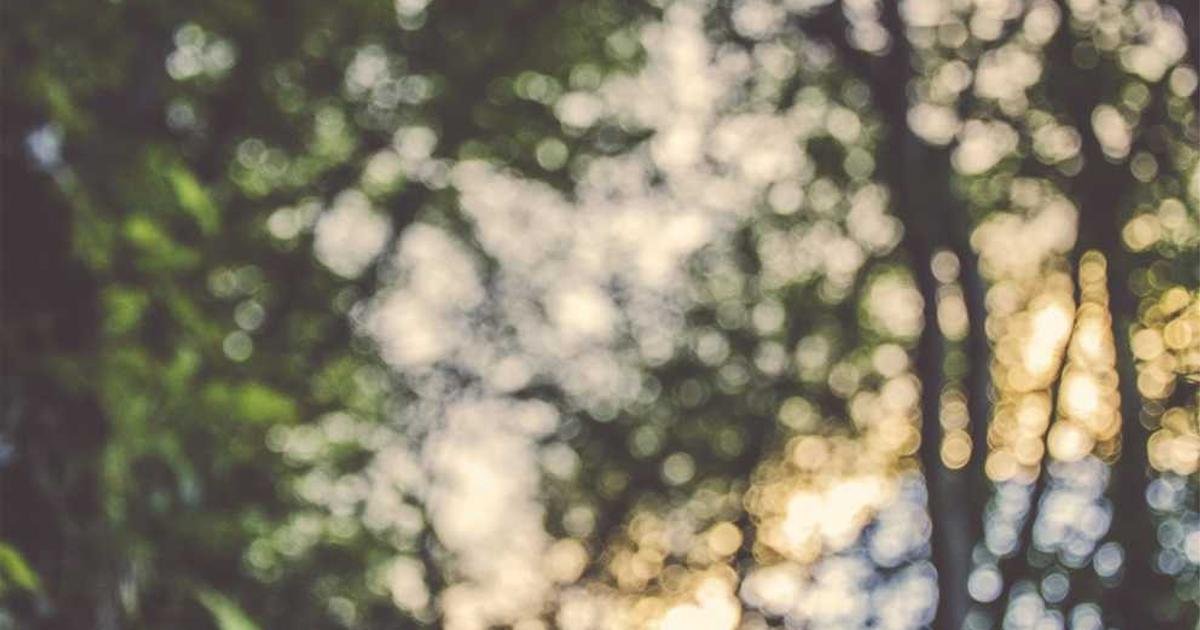 Oppose the proposed budget