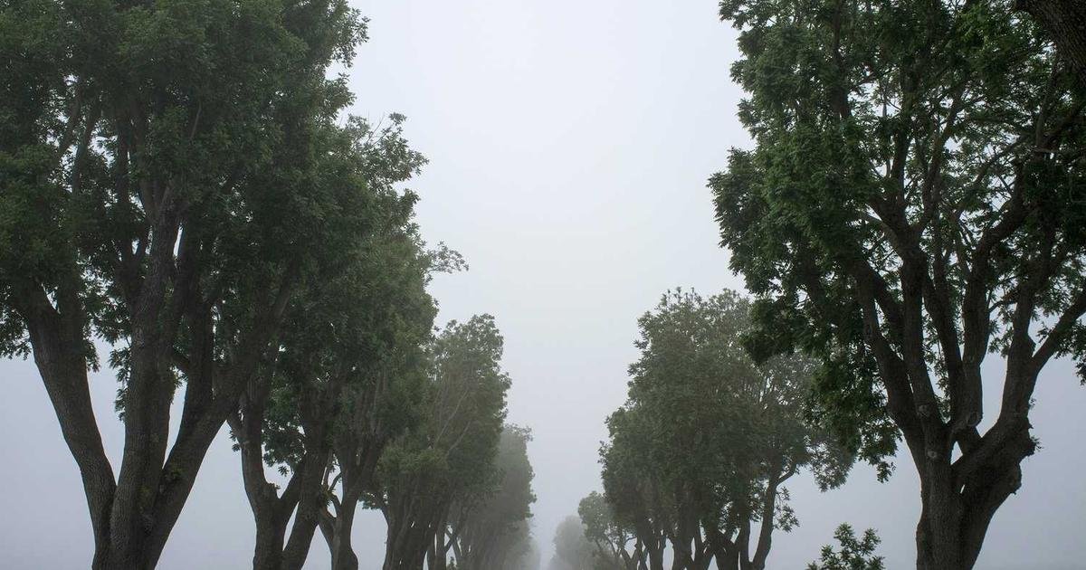 End factory farming at testing centers