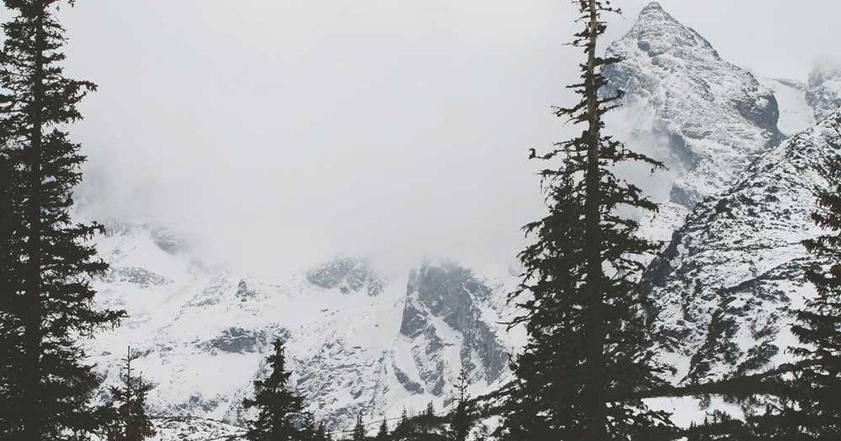 Fund literacy programs in city Schools