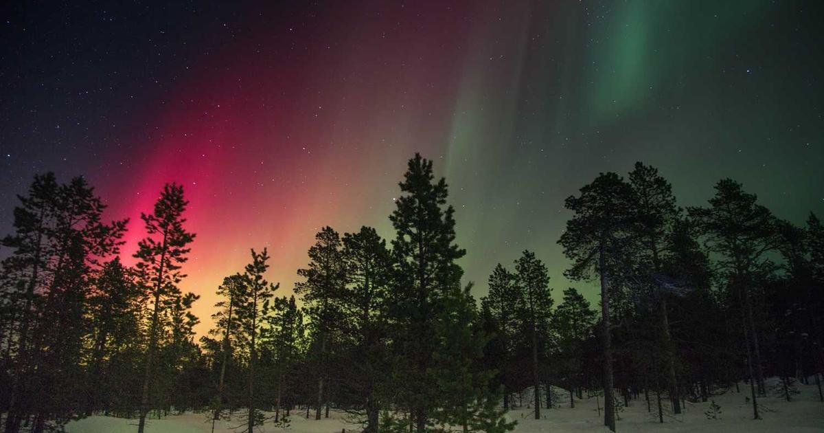 End animal testing at testing centers