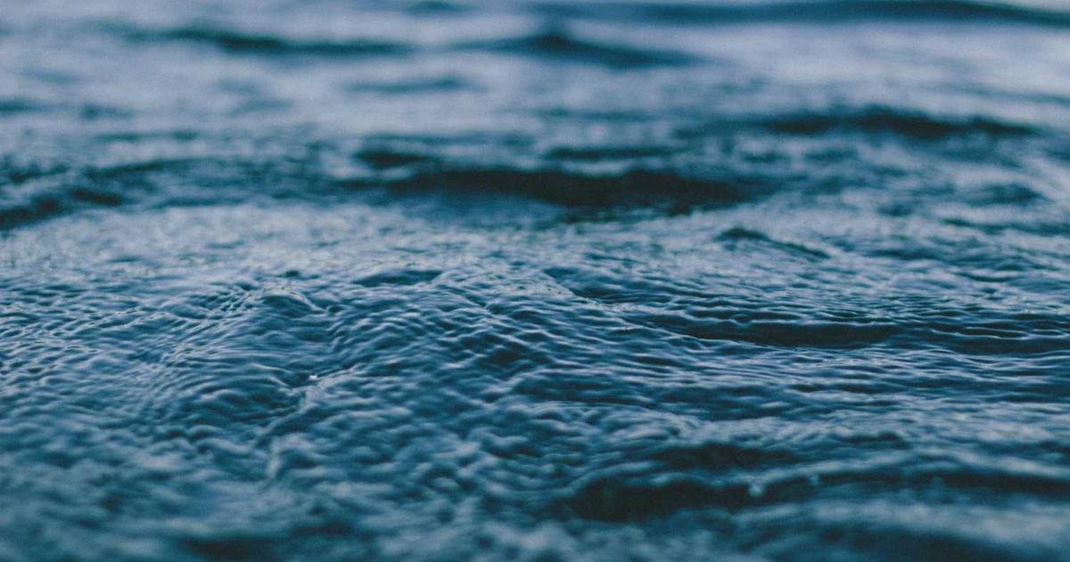 Save Meadowbrook From Overdevelopment