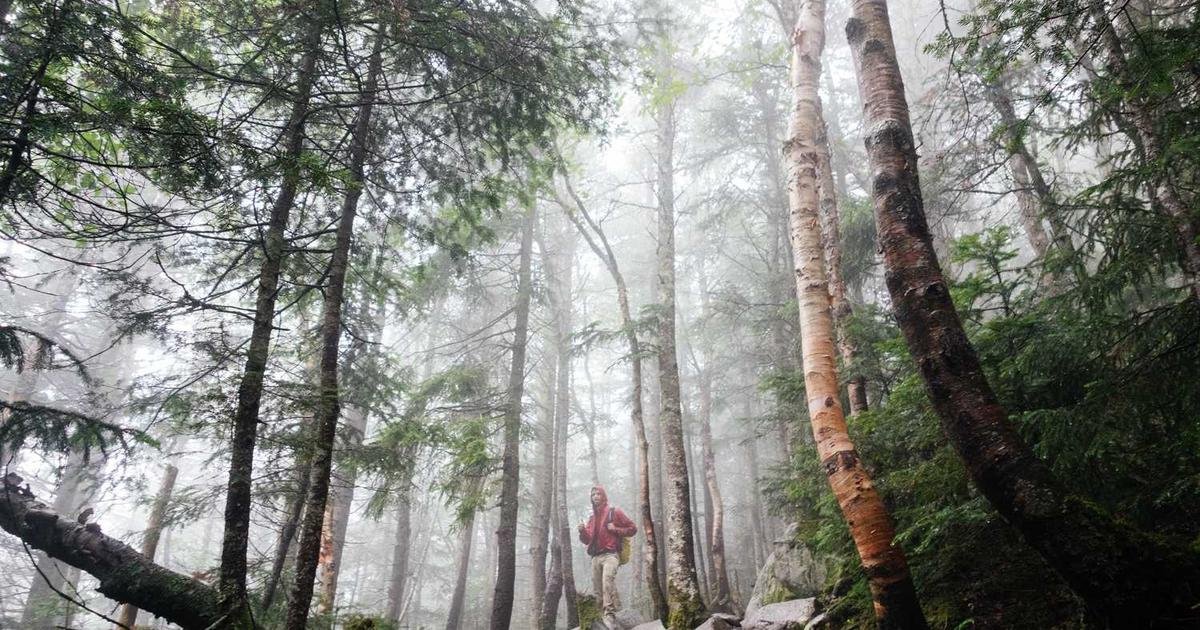 Demand Transparency in budget decisions