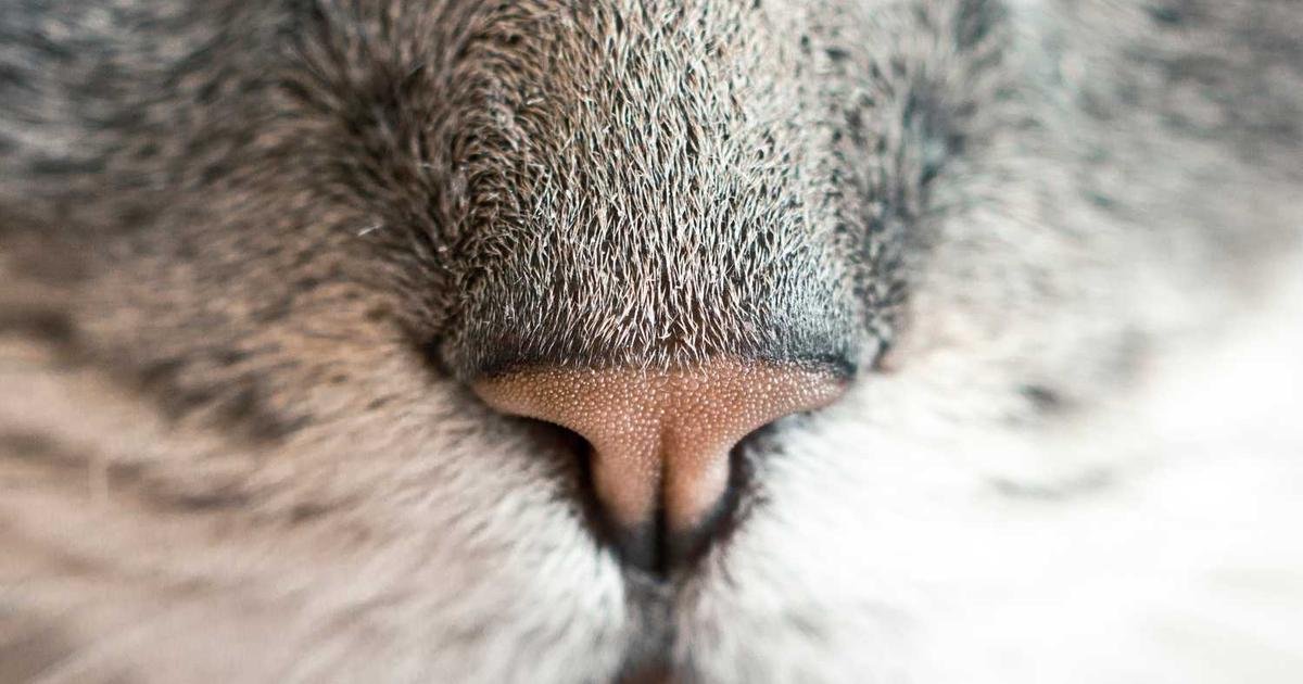 Oppose ordinance 45-B