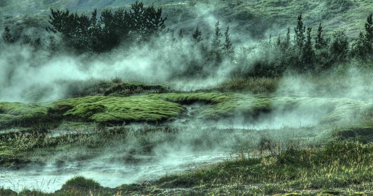 Reform voting procedures in our state