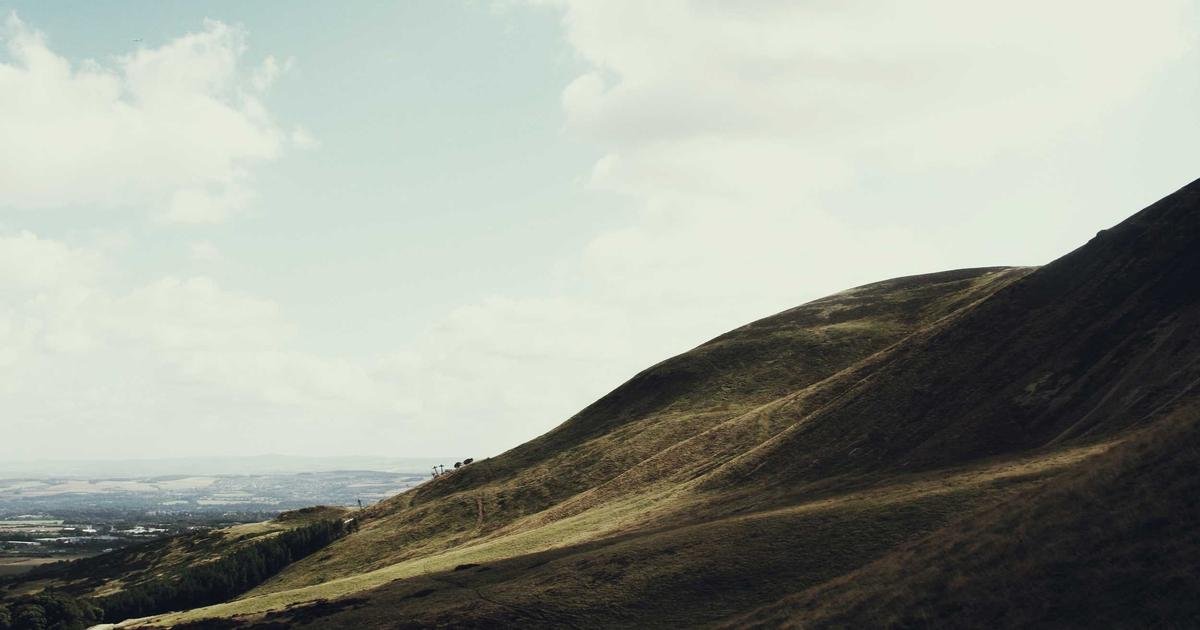 Stop animal cruelty Now