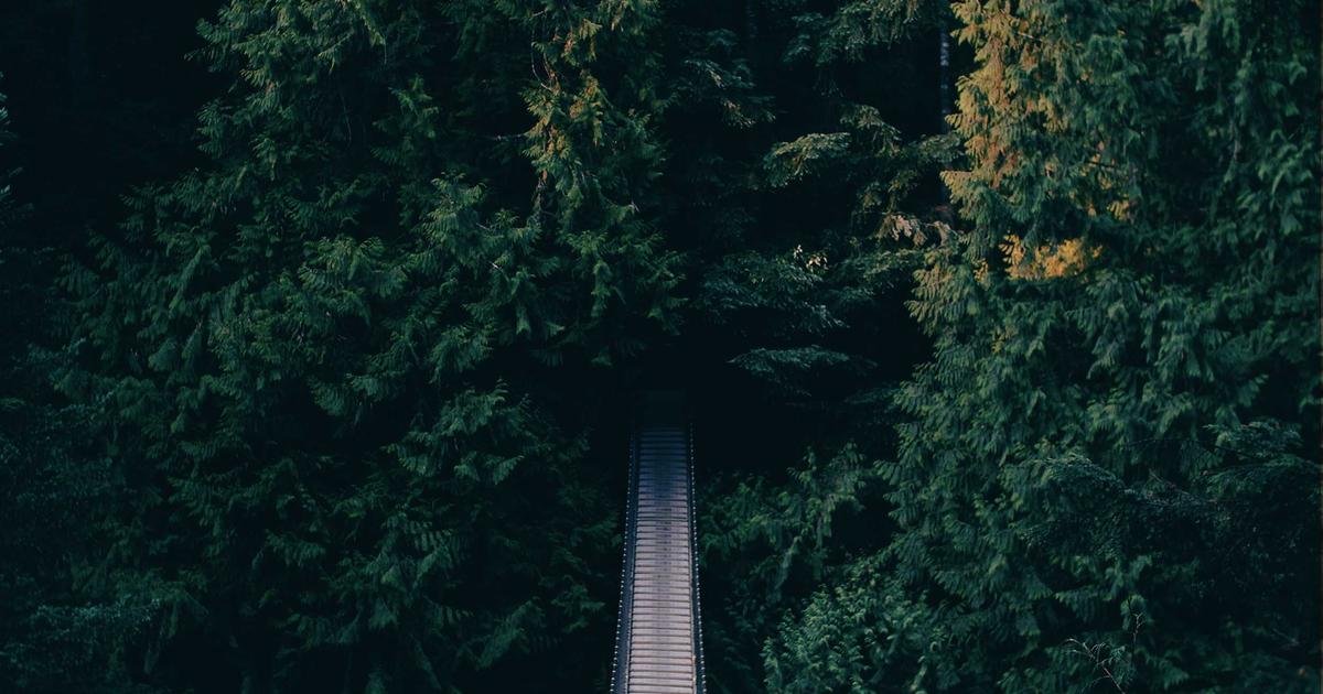 Protect youth Rights