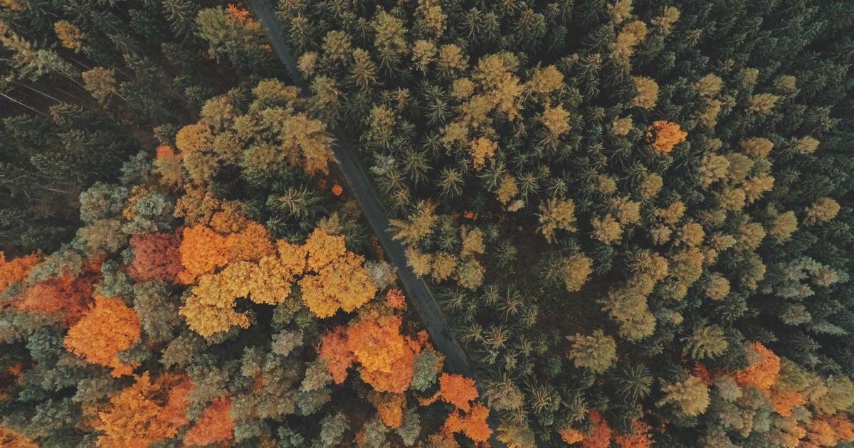 Ban cosmetic animal testing in our county