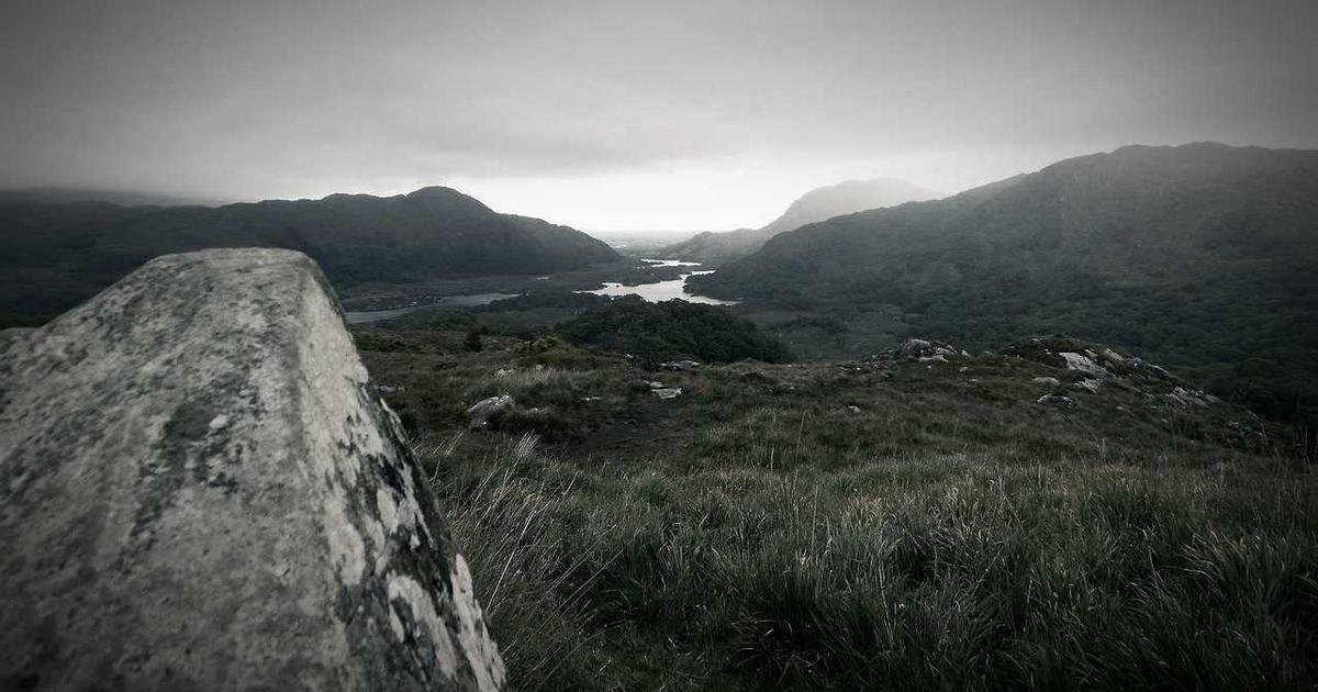 Fund vaccination Programs