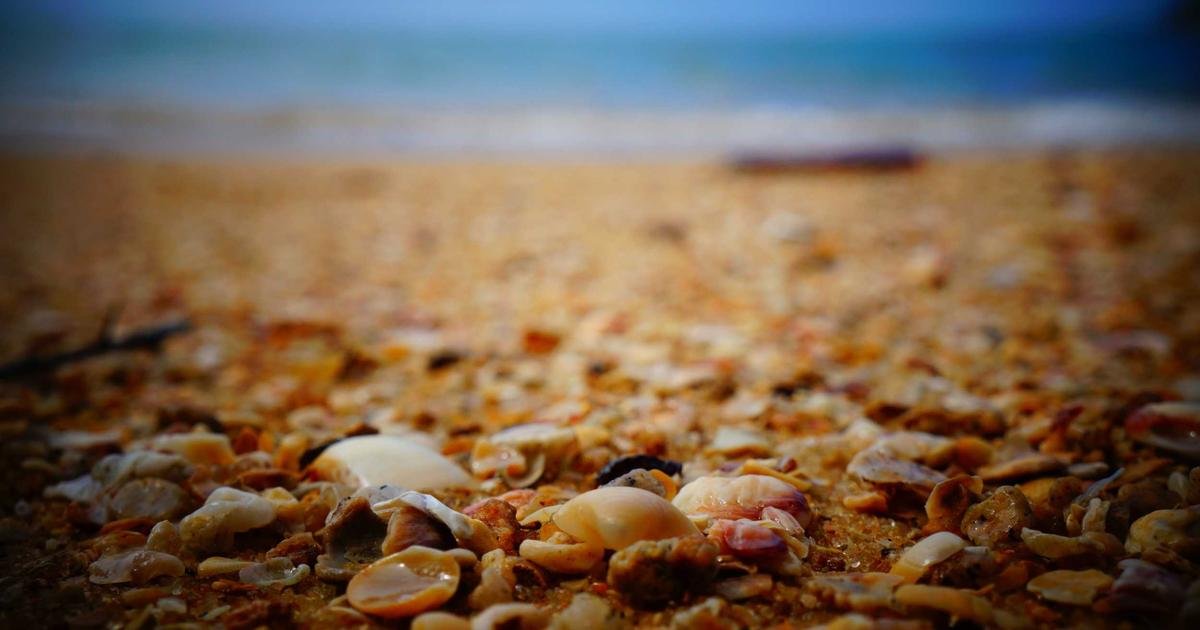 Mandate nutritional standards in community centers