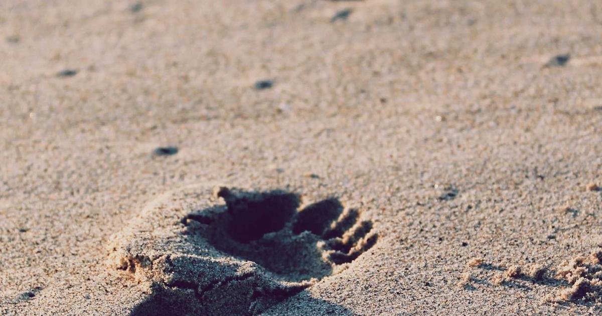 Reduce Class Sizes at Washington School