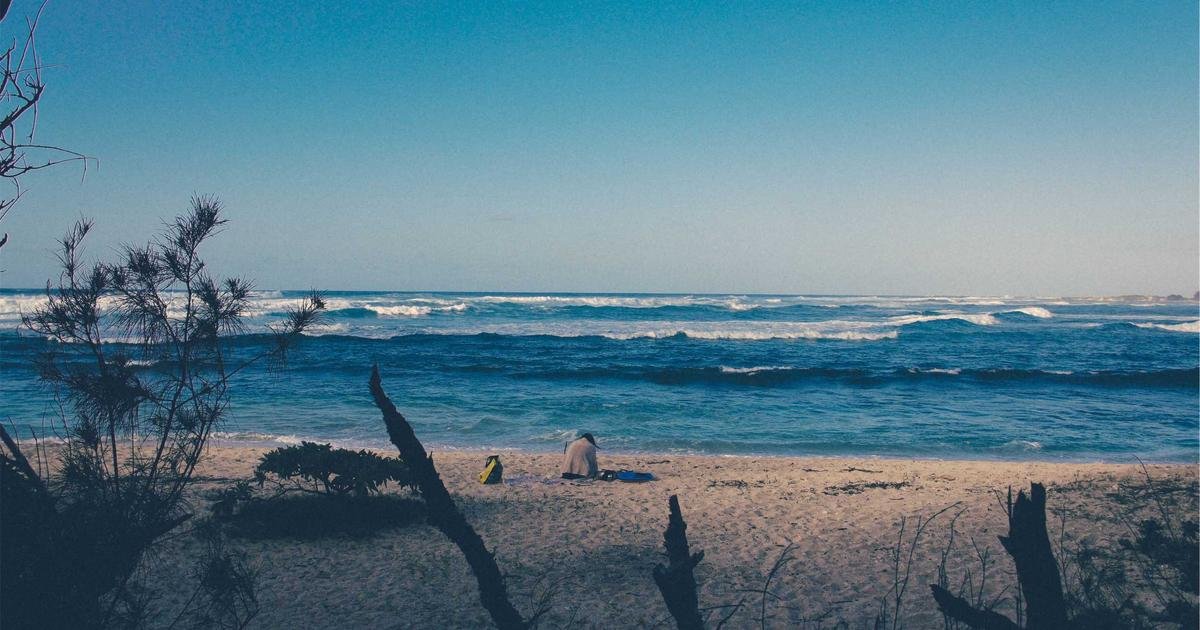 Reform lobbying rules in our county