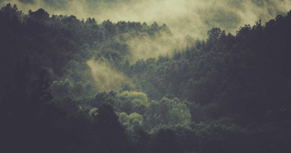 Increase community health centers for low-income