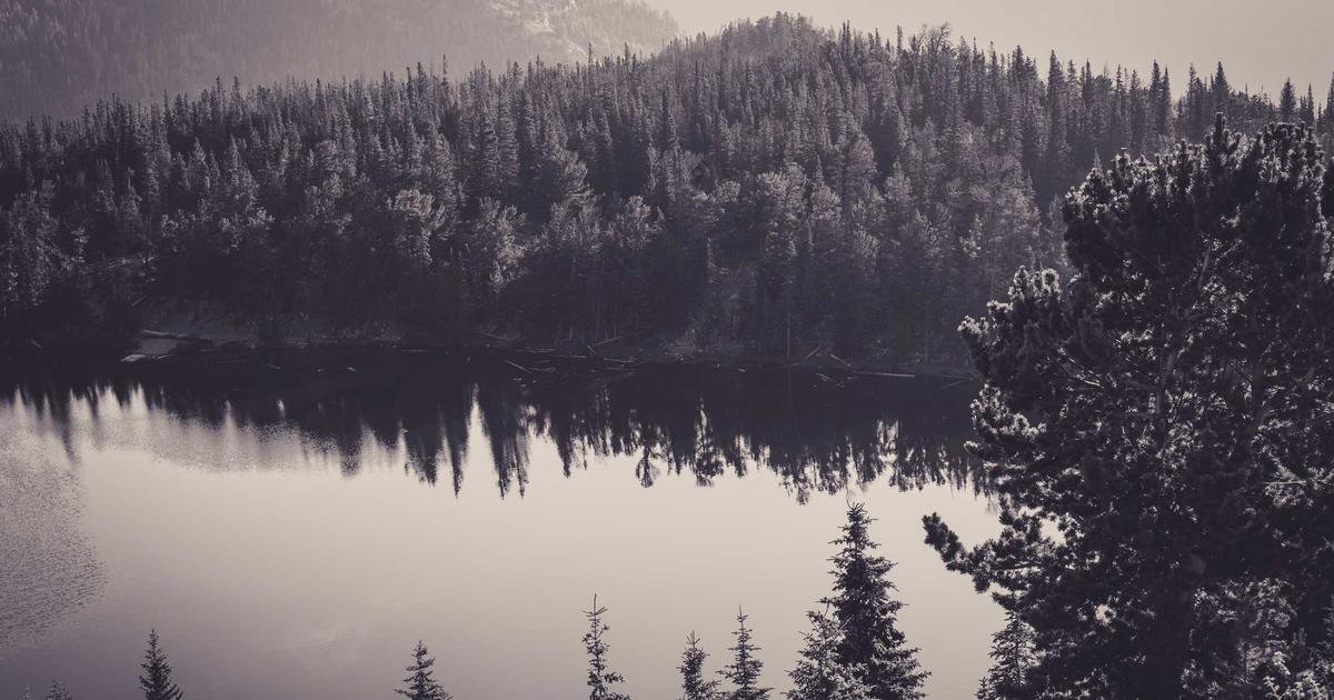 Reduce Class Sizes at Lincoln School