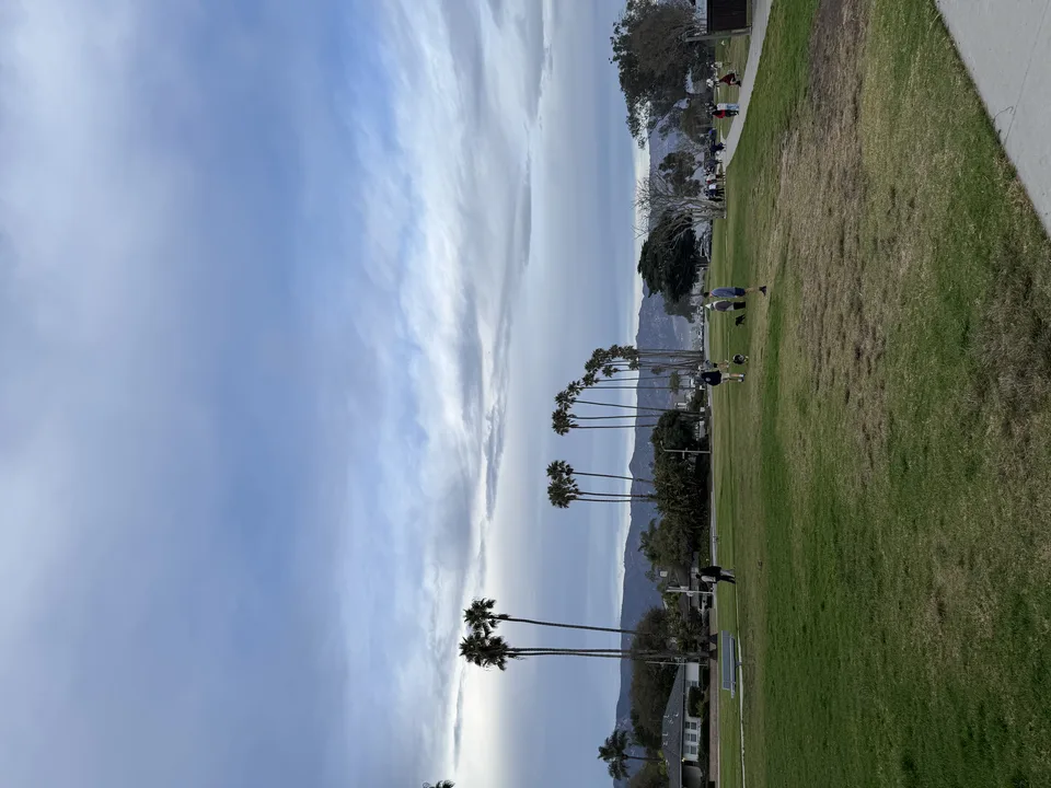 Stop Deforestation in Southern California